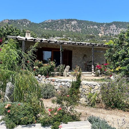 Beso Patara Exterior foto